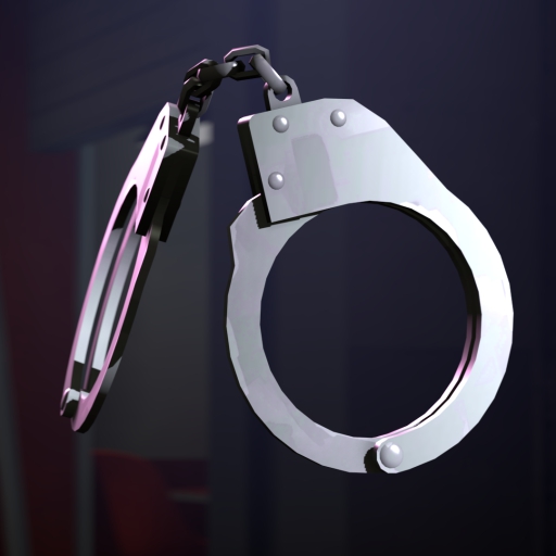 The Crime Catcher