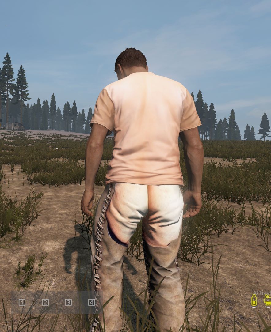 Assless Chaps
