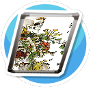Floral Skeleton