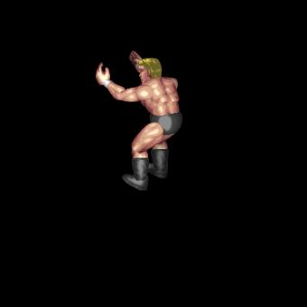 Lion Sault