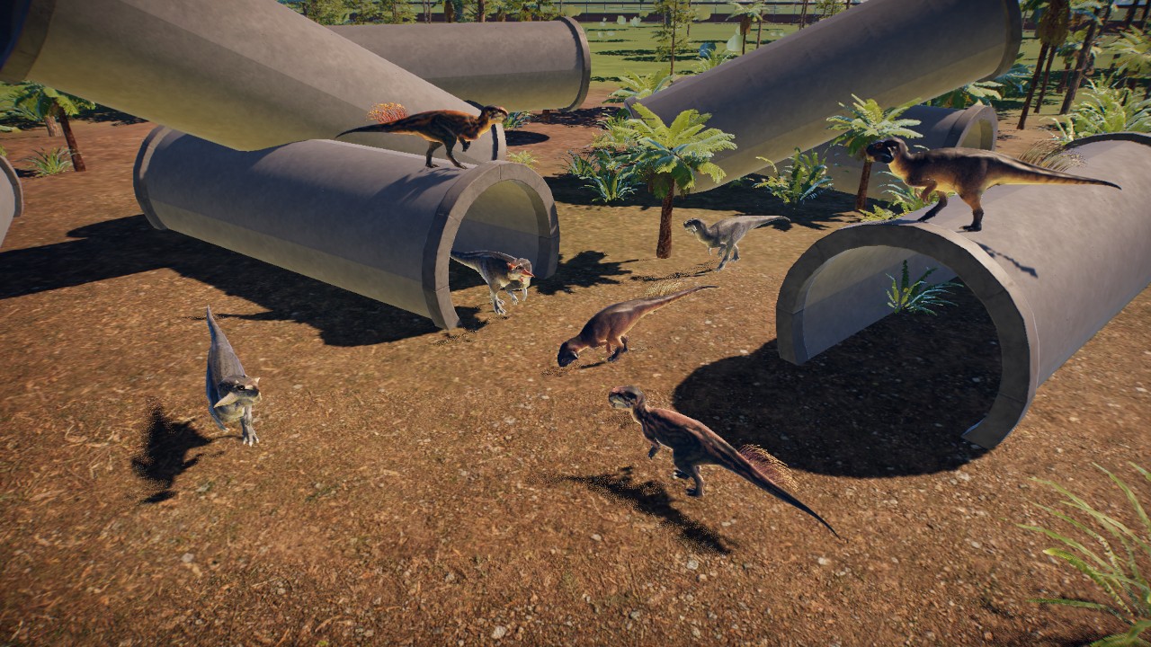 Psittacosaurus Tunnel