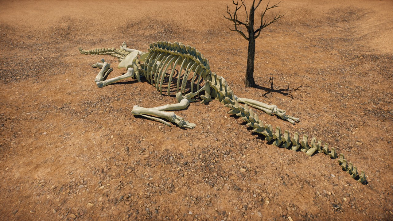 Skeleton Sauropod