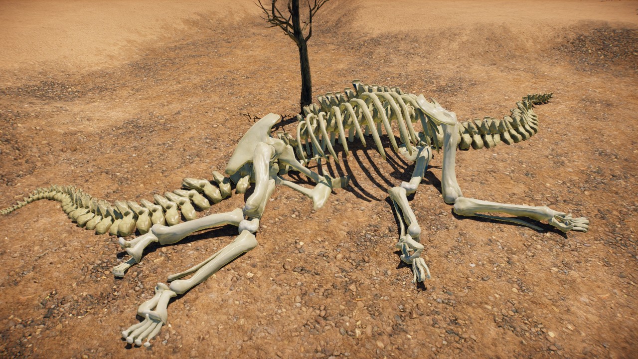 Skeleton Sauropod 2