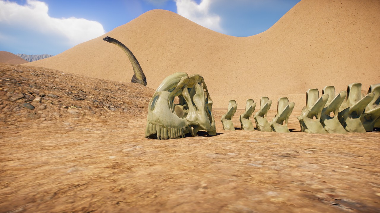 Skull Sauropod