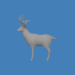 deer3