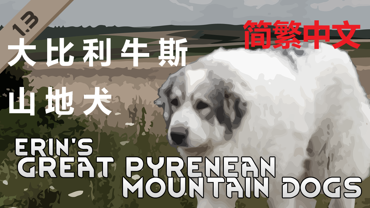 Erin's Great Pyrenean Mountain Dogs 简繁中文汉化 大比利牛斯山地犬