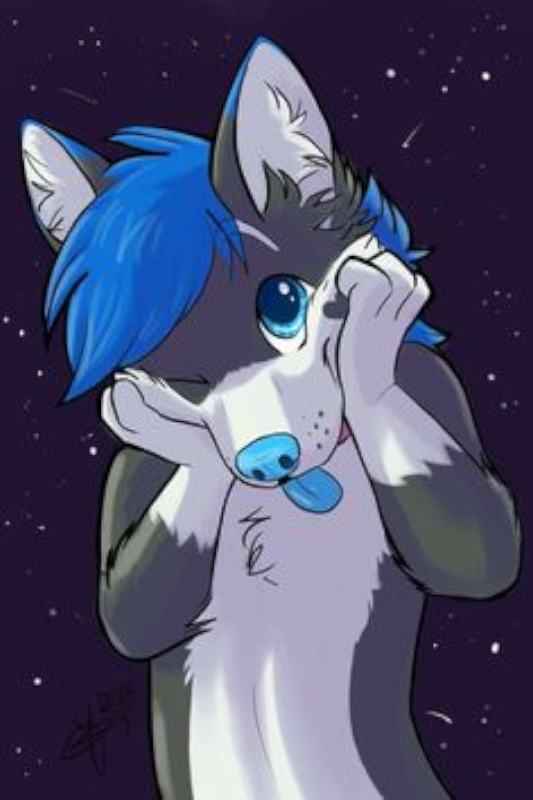Furry preview