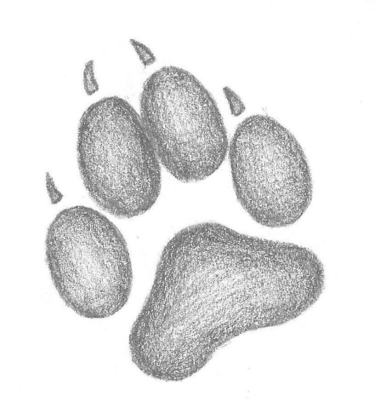 Furry preview