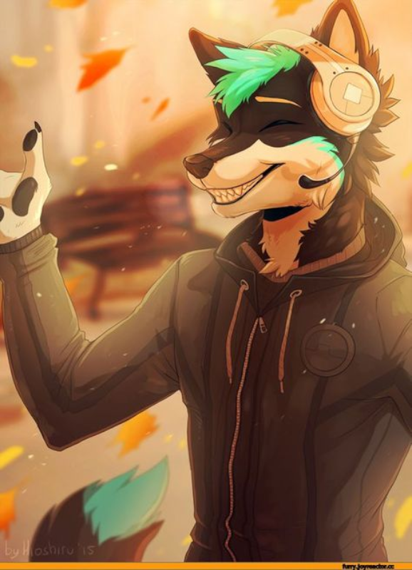 Furry
