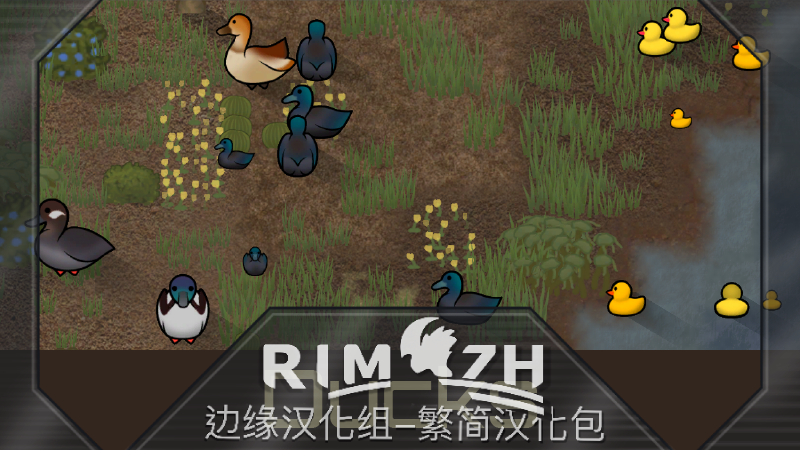 Ducks zh pack