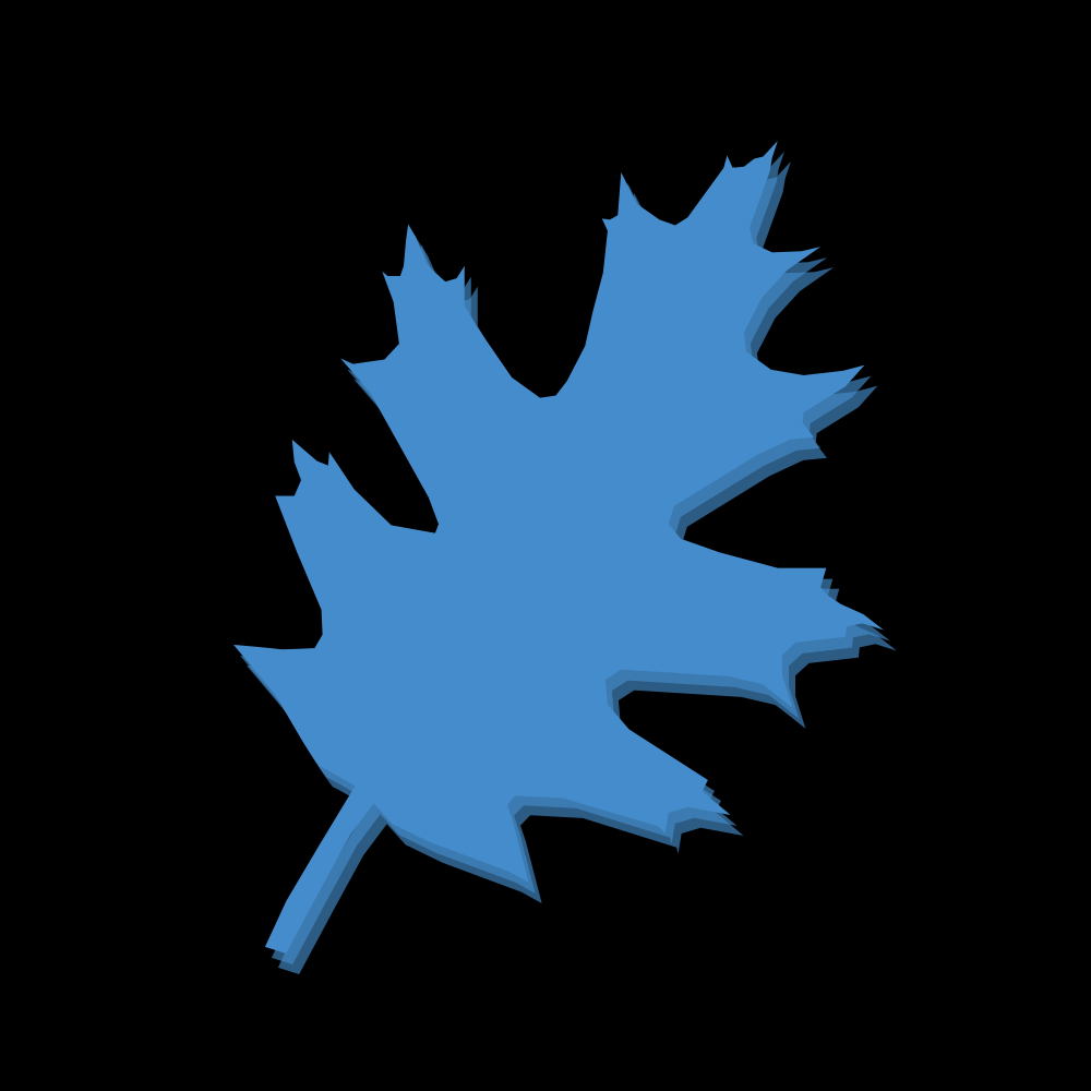 Whale Island