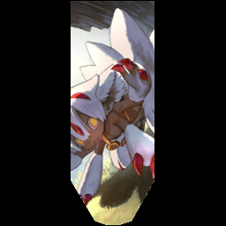 faputa banner