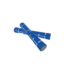 Jakes_Blue_Prints_roll2
