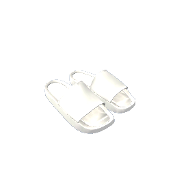 Slides- White