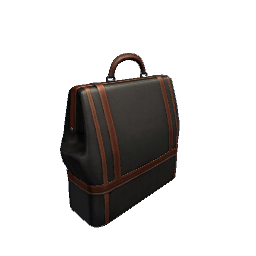 Briefcase- Black