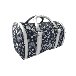 Gym Bag- V2