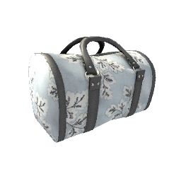 Gym Bag- V5
