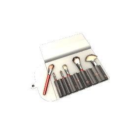 Makeup Brushes- V5