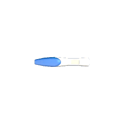 Pregnancy Test
