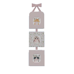 Hanging Frames- Pink