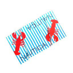 Beach Towel- V5
