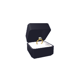 Ring Box- Black