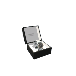 Watch Box- Black