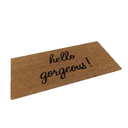 Welcome Mat- V7