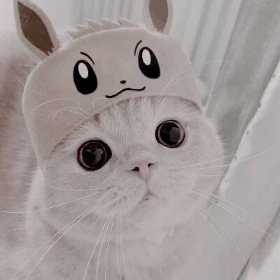 七罪之戒