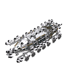 Big Eve Rover