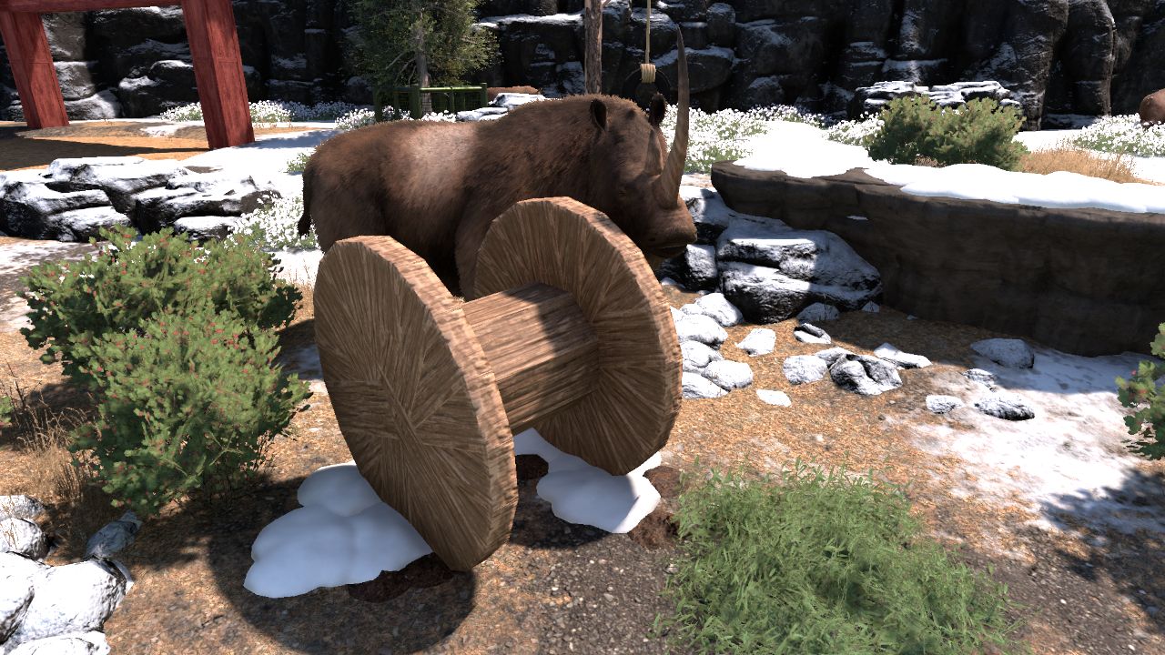 Coelodonta enrichment
