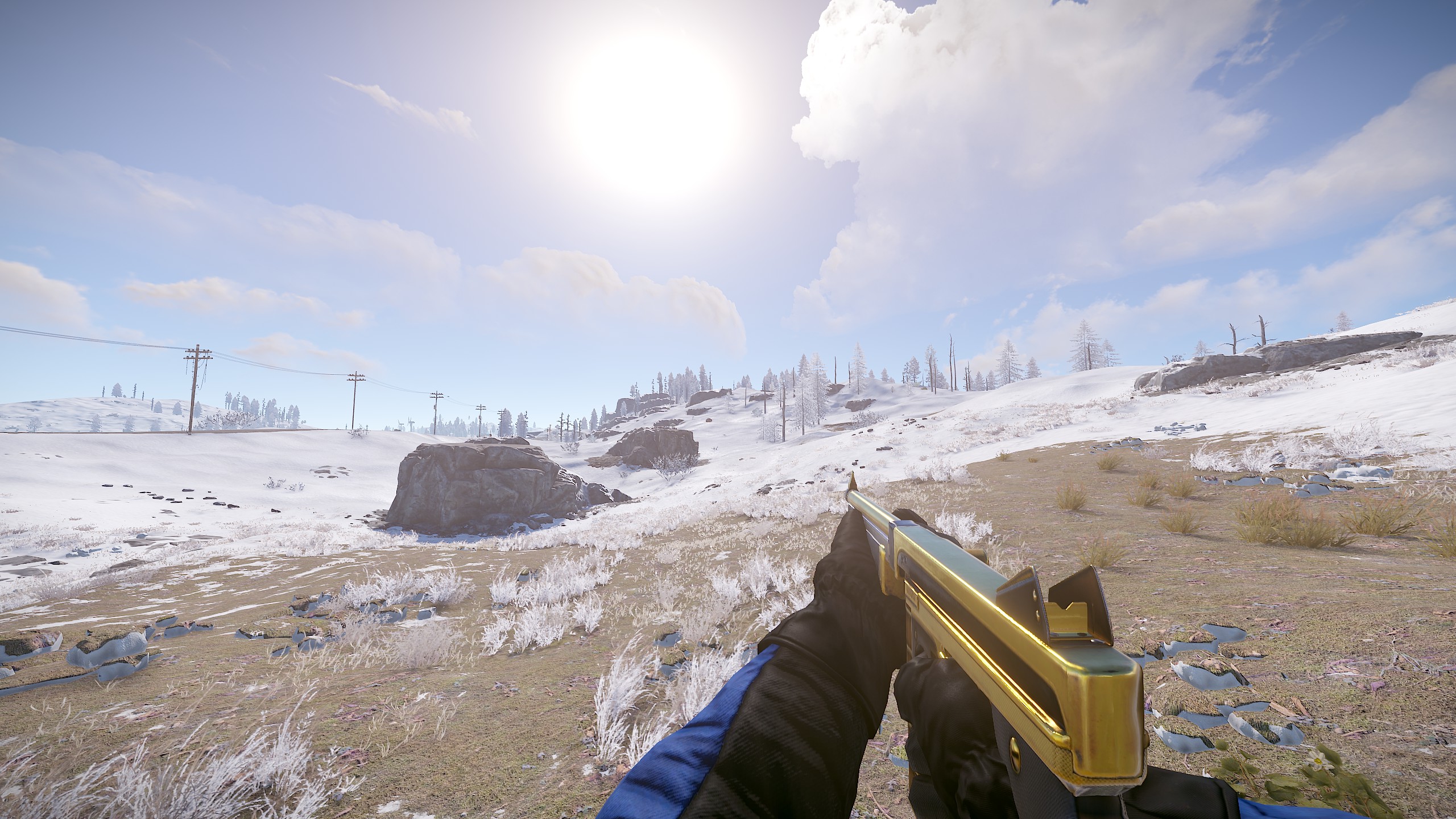 Black Gold Thompson