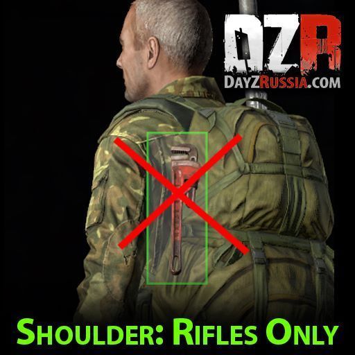 DZR Shoulder Rifles Only