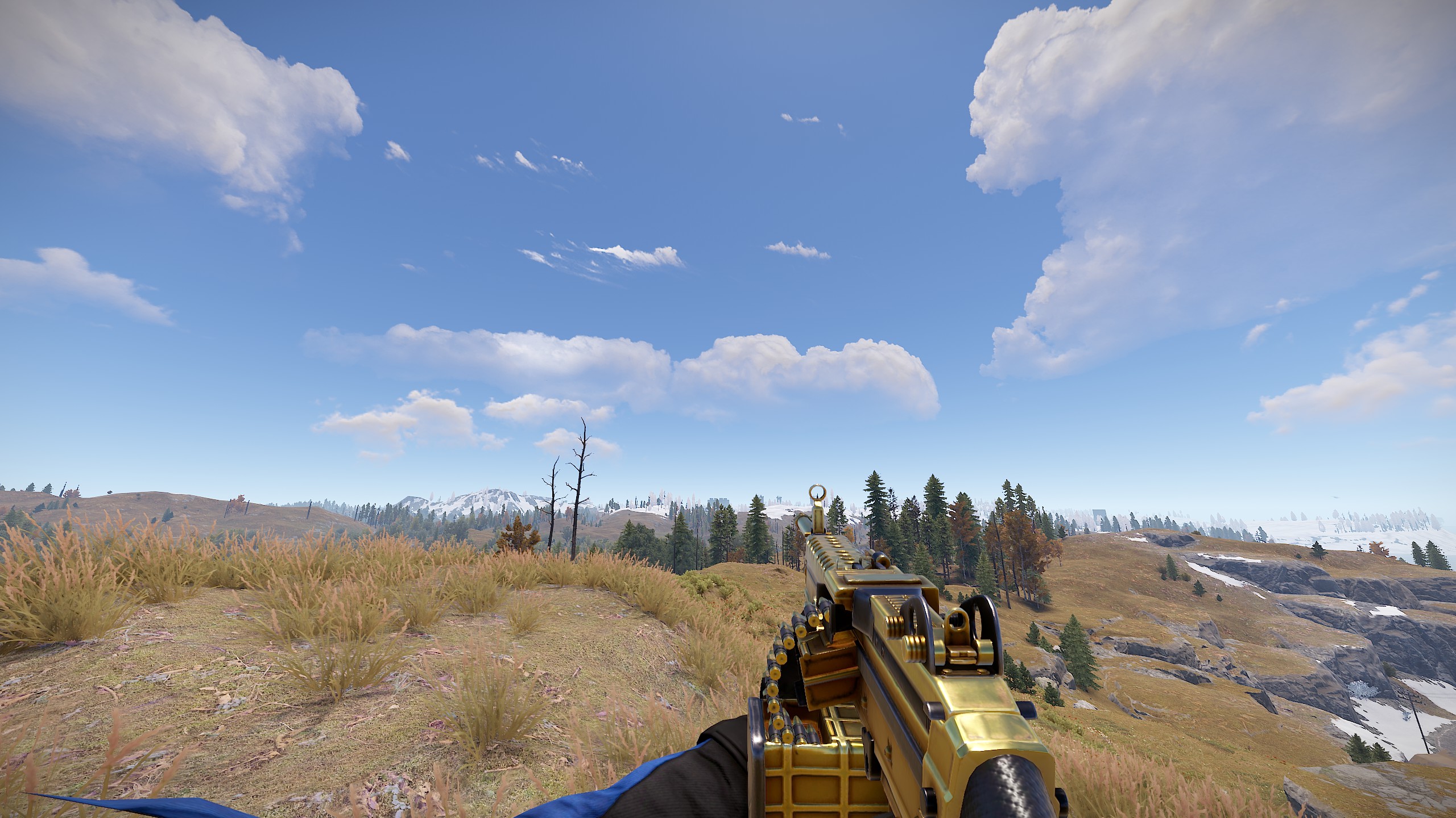 Black Gold M249