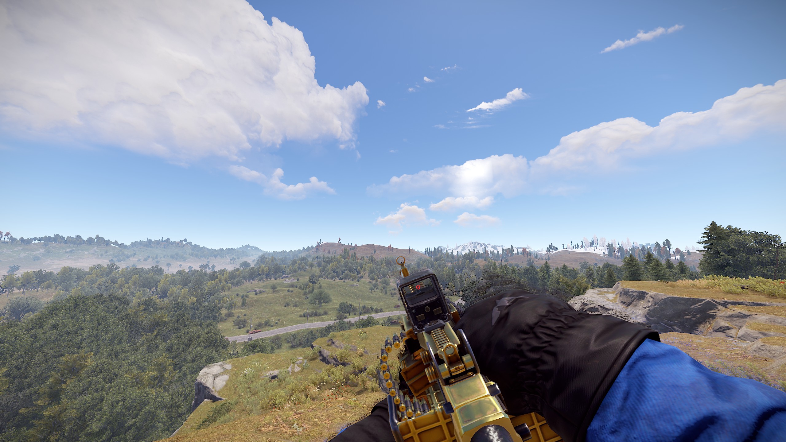 Black Gold M249