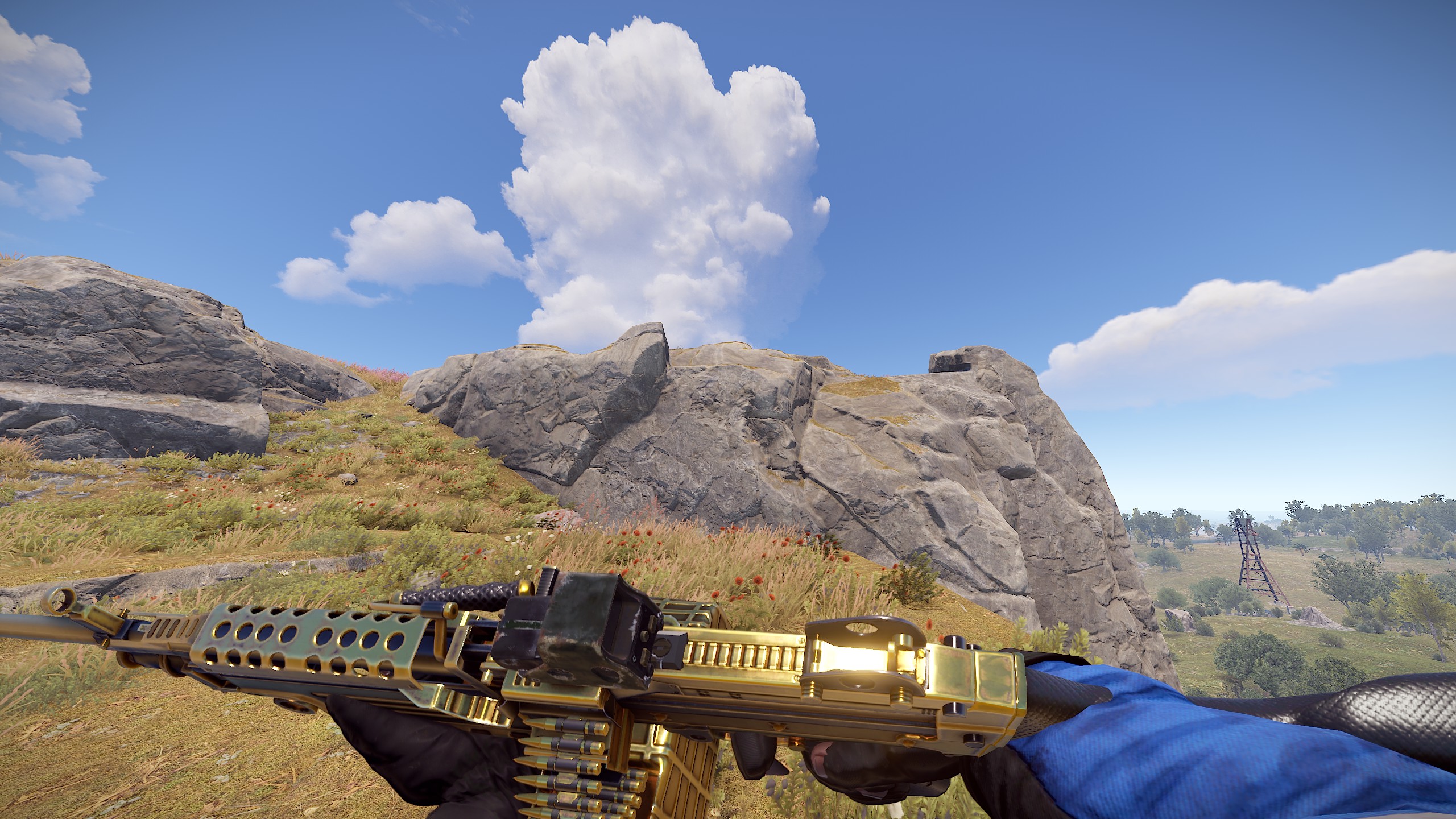 Black Gold M249