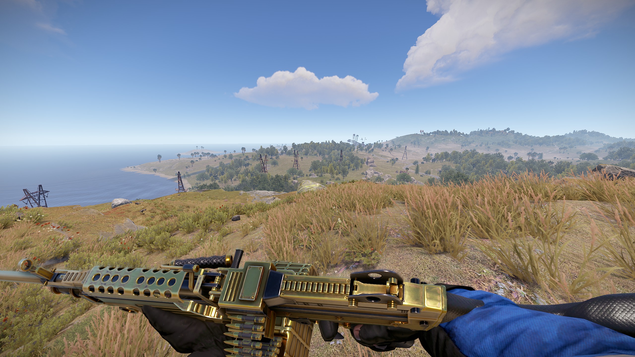 Black Gold M249