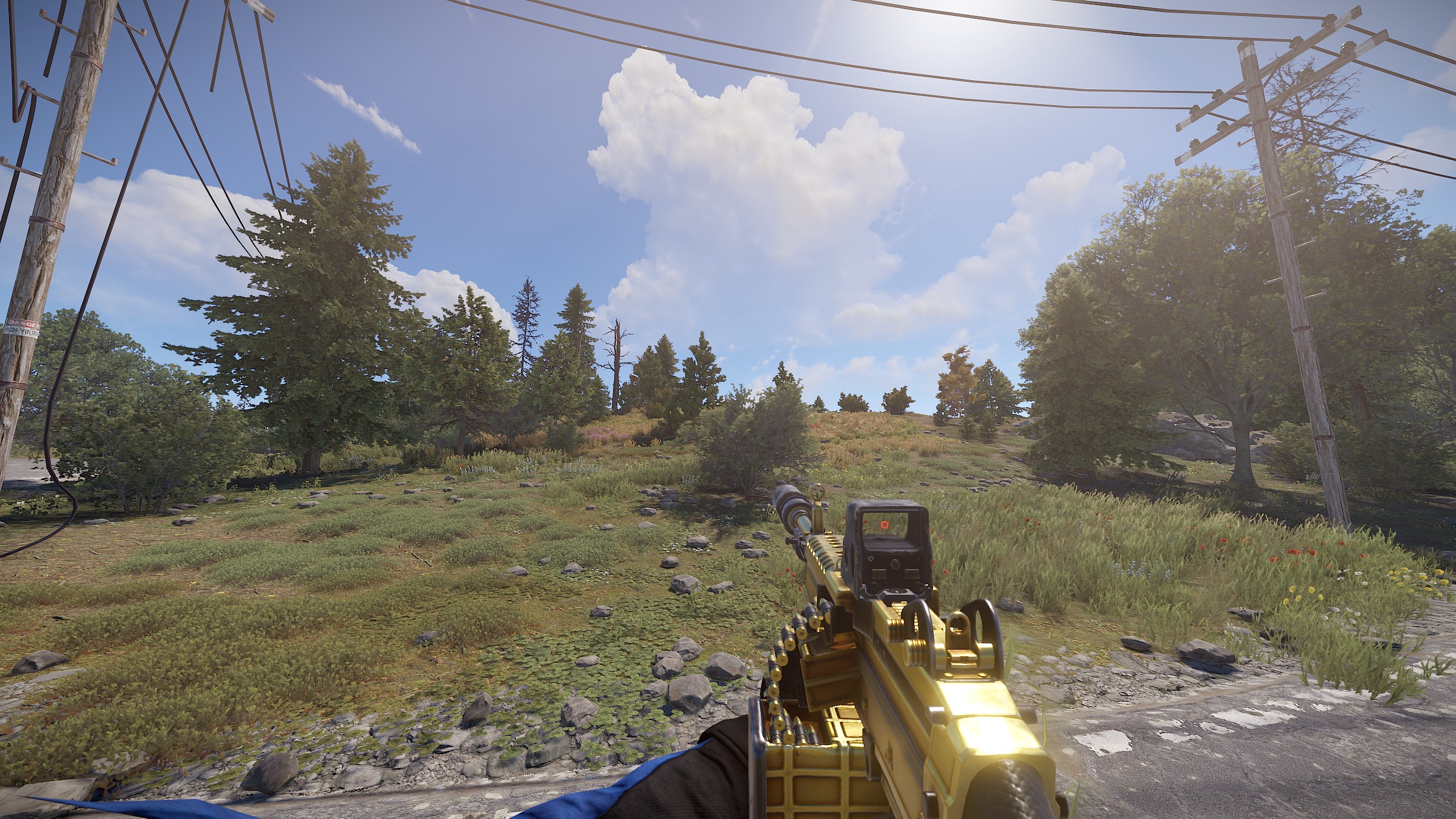 Black Gold M249