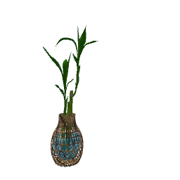 rope vase with plant