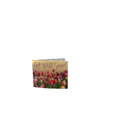 Card preview