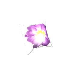 boho pillow preview