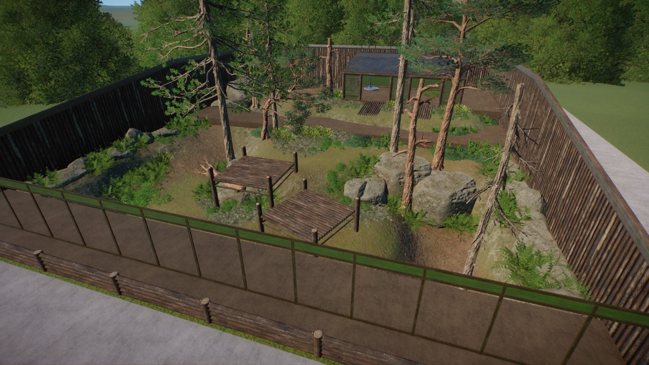 Starter Amur Leopard Habitat