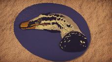 Velociraptor Mongoliensis Head Portrait preview