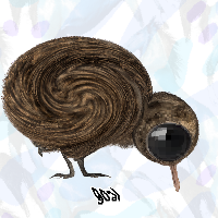plump birbs preview