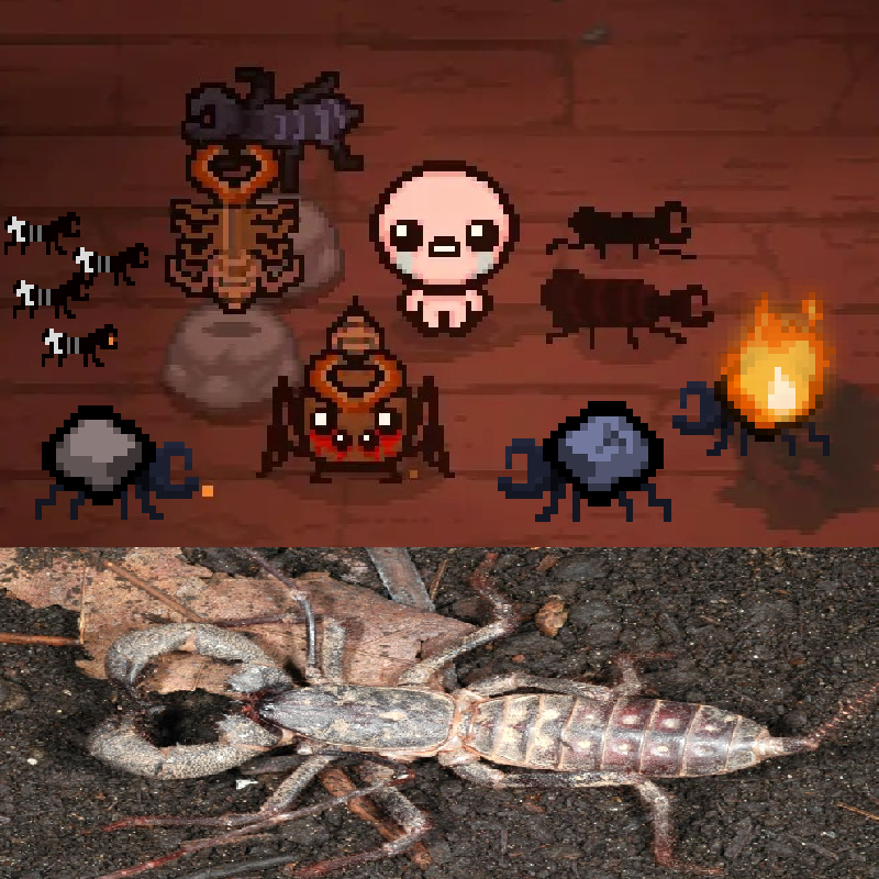 Telifoni