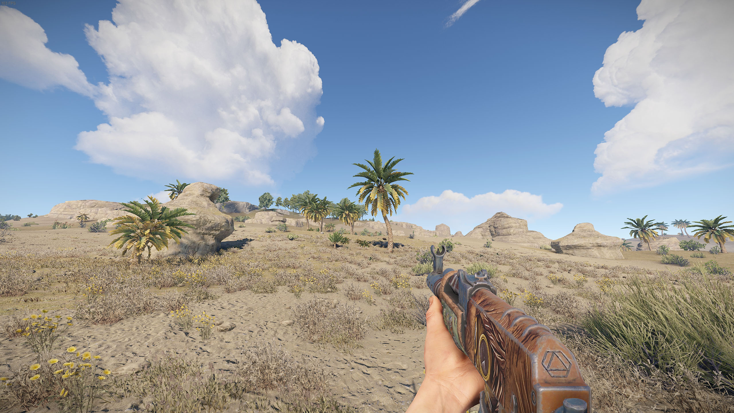 Wasteland AR