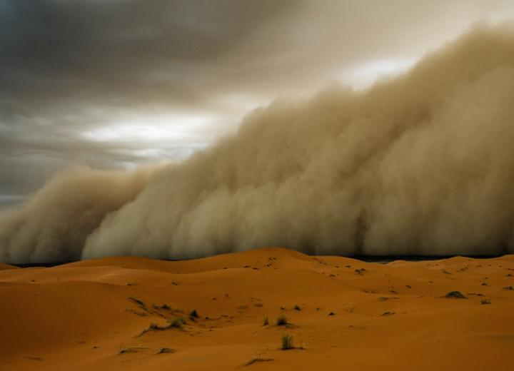 Operation Sandstorm
