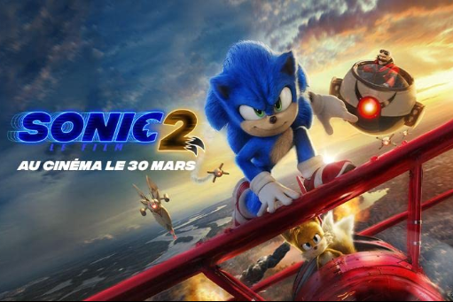 Sonic 2 (French) Plane Canvas