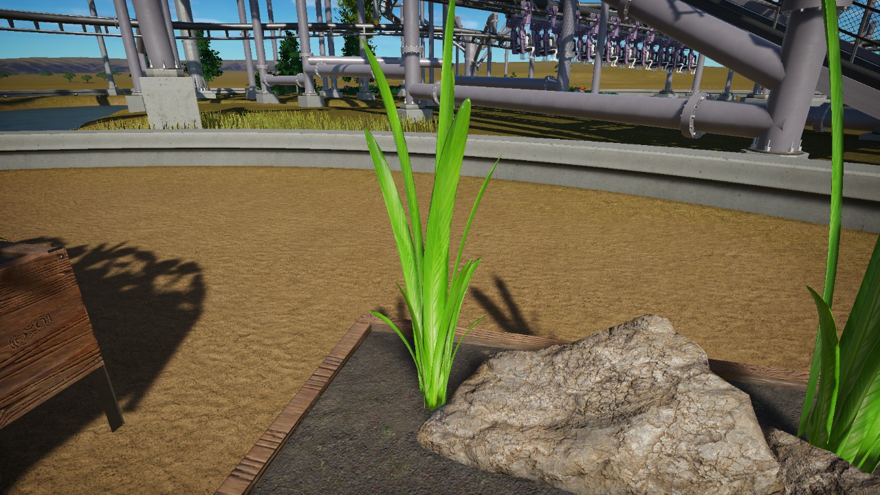 1m Plant