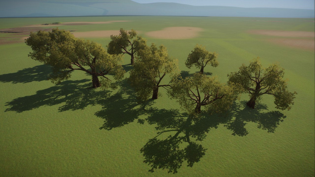 Romanopulatious Southern Live Oak